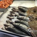 IMG_1759811