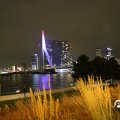 IMG_1758995