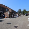 IMG_1759095
