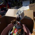 IMG_1759145