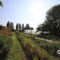 IMG_1759313