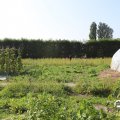 IMG_1759319