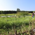 IMG_1759322