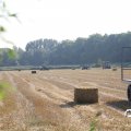 IMG_1759475
