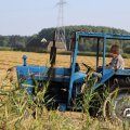 IMG_1759496
