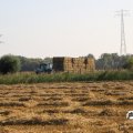 IMG_1759499