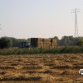 IMG_1759500