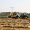 IMG_1759502
