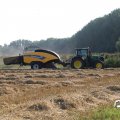 IMG_1759505