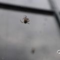 IMG_1760980