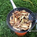 JPG_1761541