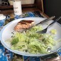 JPG_1761542