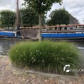 JPG_1761604