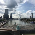 IMG_1761990
