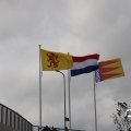 IMG_1765324