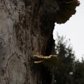 IMG_1765419