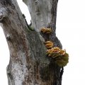 IMG_1765425