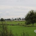 IMG_1765461