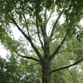 IMG_1765470