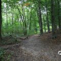 IMG_1765480