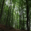 IMG_1765486