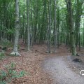 IMG_1765488