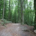 IMG_1765494