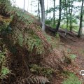 IMG_1765514
