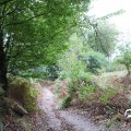 IMG_1765522