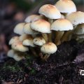 IMG_1765536