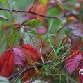 IMG_1765542