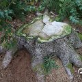 IMG_1765549