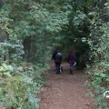 IMG_1765557