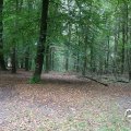 IMG_1765561