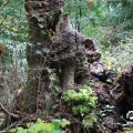IMG_1765565