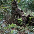 IMG_1765568