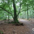 IMG_1765574