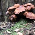 IMG_1765580