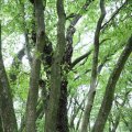 IMG_1765601