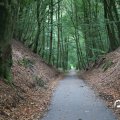 IMG_1765604