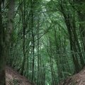 IMG_1765606