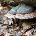 IMG_1765609