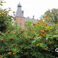 IMG_1765637