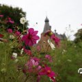 IMG_1765638