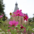 IMG_1765640