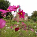 IMG_1765646