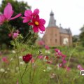 IMG_1765648