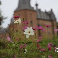 IMG_1765655
