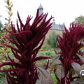 IMG_1765673
