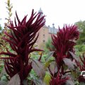 IMG_1765677